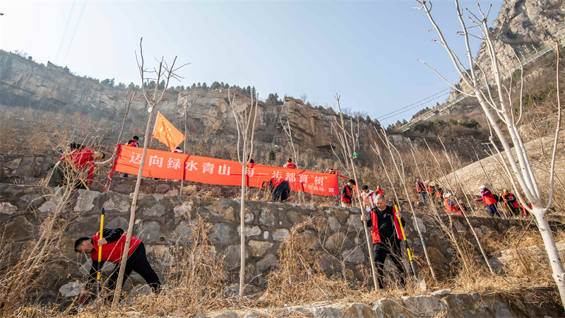 邁向綠水青山  每一步都算“樹”——平原商場2024年植樹